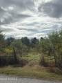 Tbd Trailwood Road - Photo 4