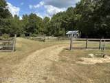 6757 Line Road - Photo 8