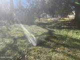 310 Sampson Street - Photo 11
