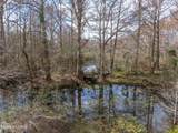 100 Fallow Lane - Photo 11