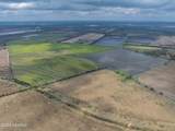 00000 Brigman Highway - Photo 10