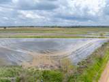 00000 Brigman Highway - Photo 8