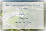 Tbd Chargois Street - Photo 2