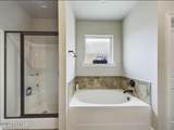 116 Spider Lily Lane - Photo 12
