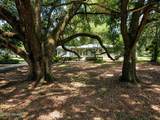 509 Hwy 29 - Photo 1