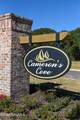 206 Camerons Cove Drive - Photo 35