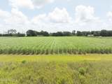Tbd Louisiana 338 - Photo 1