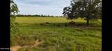 0 Rutherford Road - Photo 13
