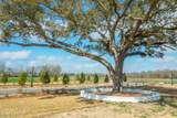 118 Castle Vine Way - Photo 4