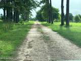 Tbd Bearb Road - Photo 2