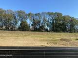 116 Leaning Oak Drive - Photo 1