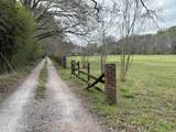 Tbd Bayou Tortue Road - Photo 2