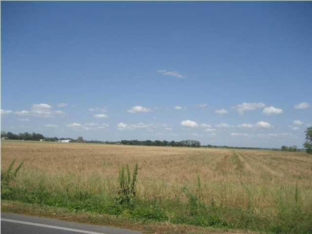 Hwy 347 - Photo 1
