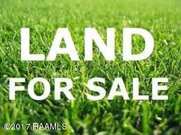 Lot 4 Rixby Manuel Road - Photo 1