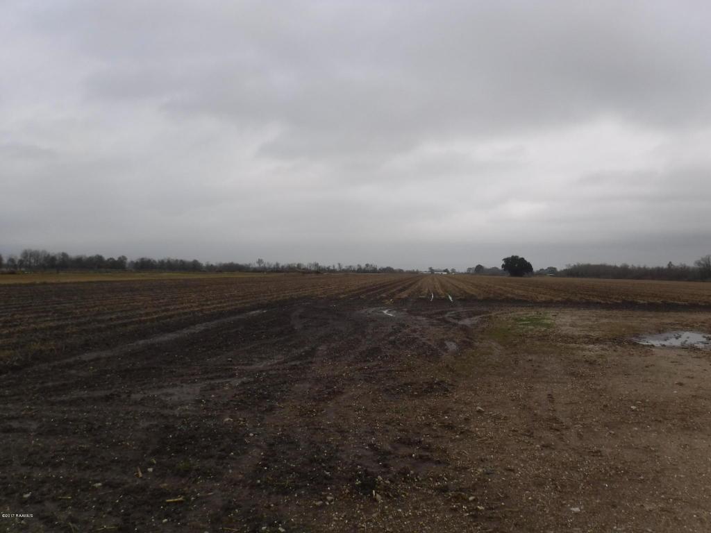 Tanner Road - Photo 1