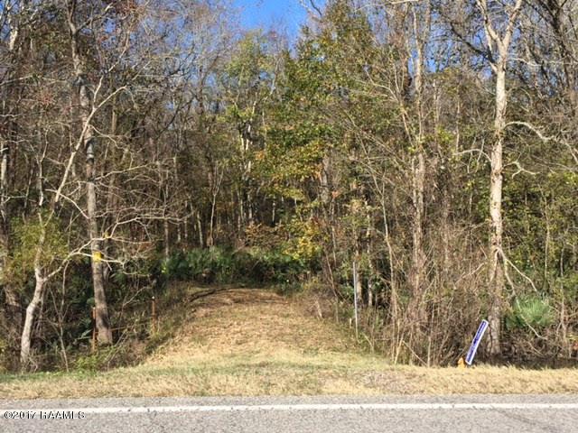 0000 Lake Martin Road - Photo 1