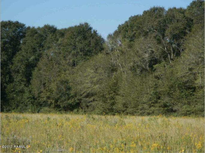 Tbd La Hwy 367 - Photo 1