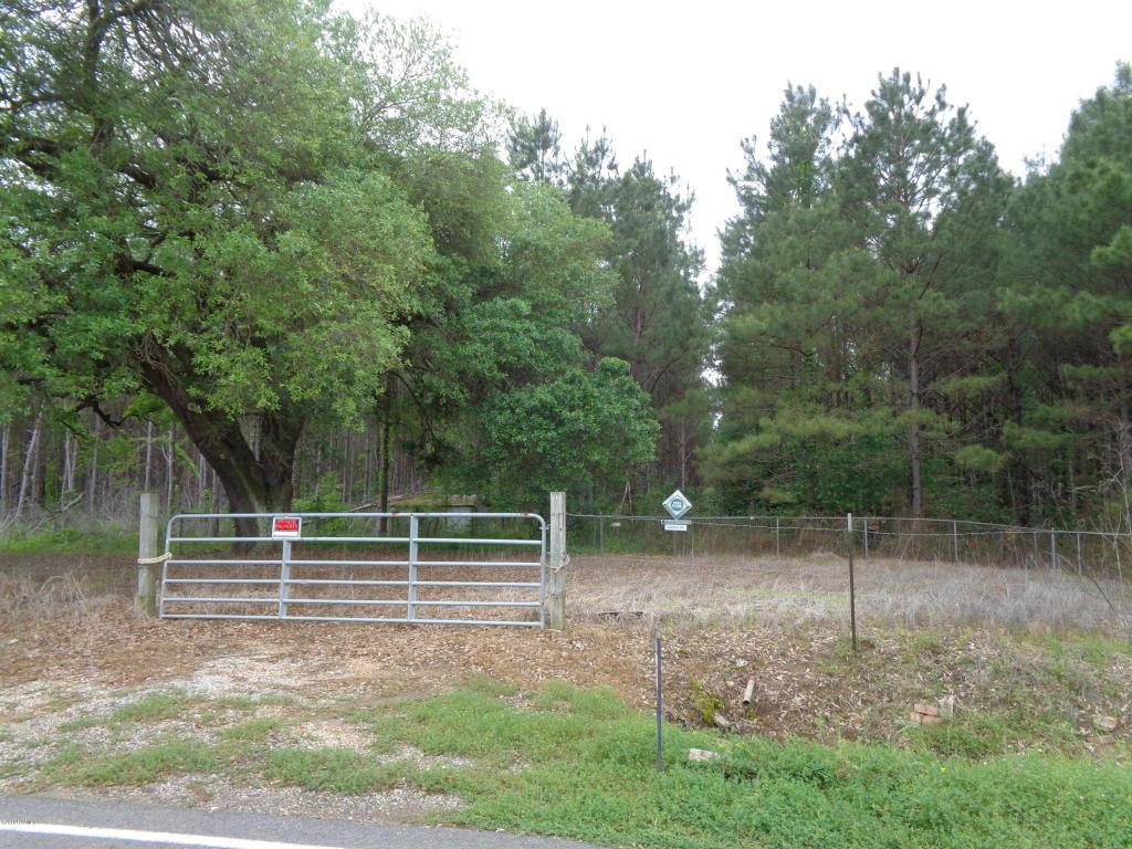 1262 Jeanus Street - Photo 1