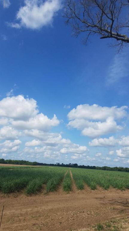 0000 Ranch Road - Photo 1