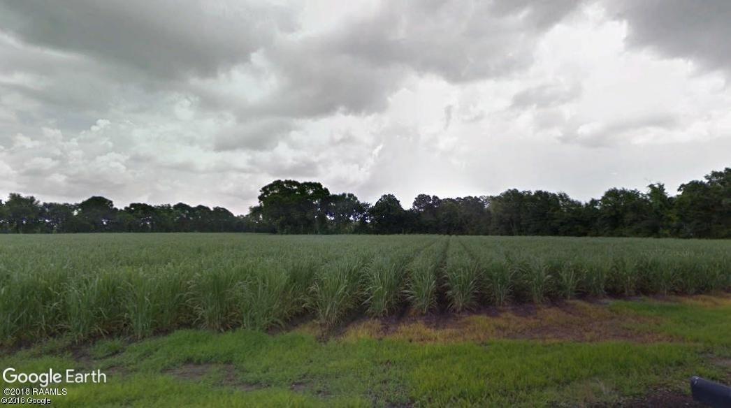 Tbd Parcel 4 Bock Huval Road - Photo 1
