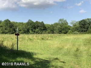 Tbd Bark Drive - Photo 1