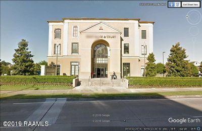1201 Camellia Boulevard - Photo 1