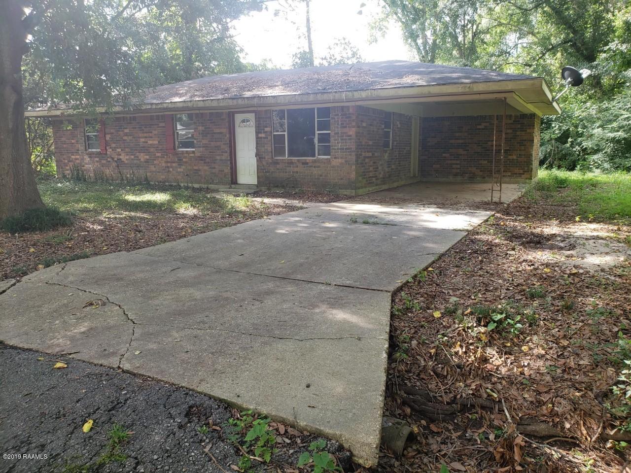 203 Mike Street - Photo 1