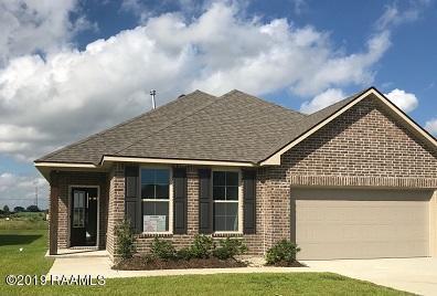 705 Country Lakes Trail - Photo 1
