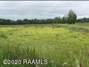 3220 Opelousas Road - Photo 1