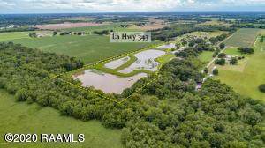 Tbd 343 Bosco Hwy - Photo 1