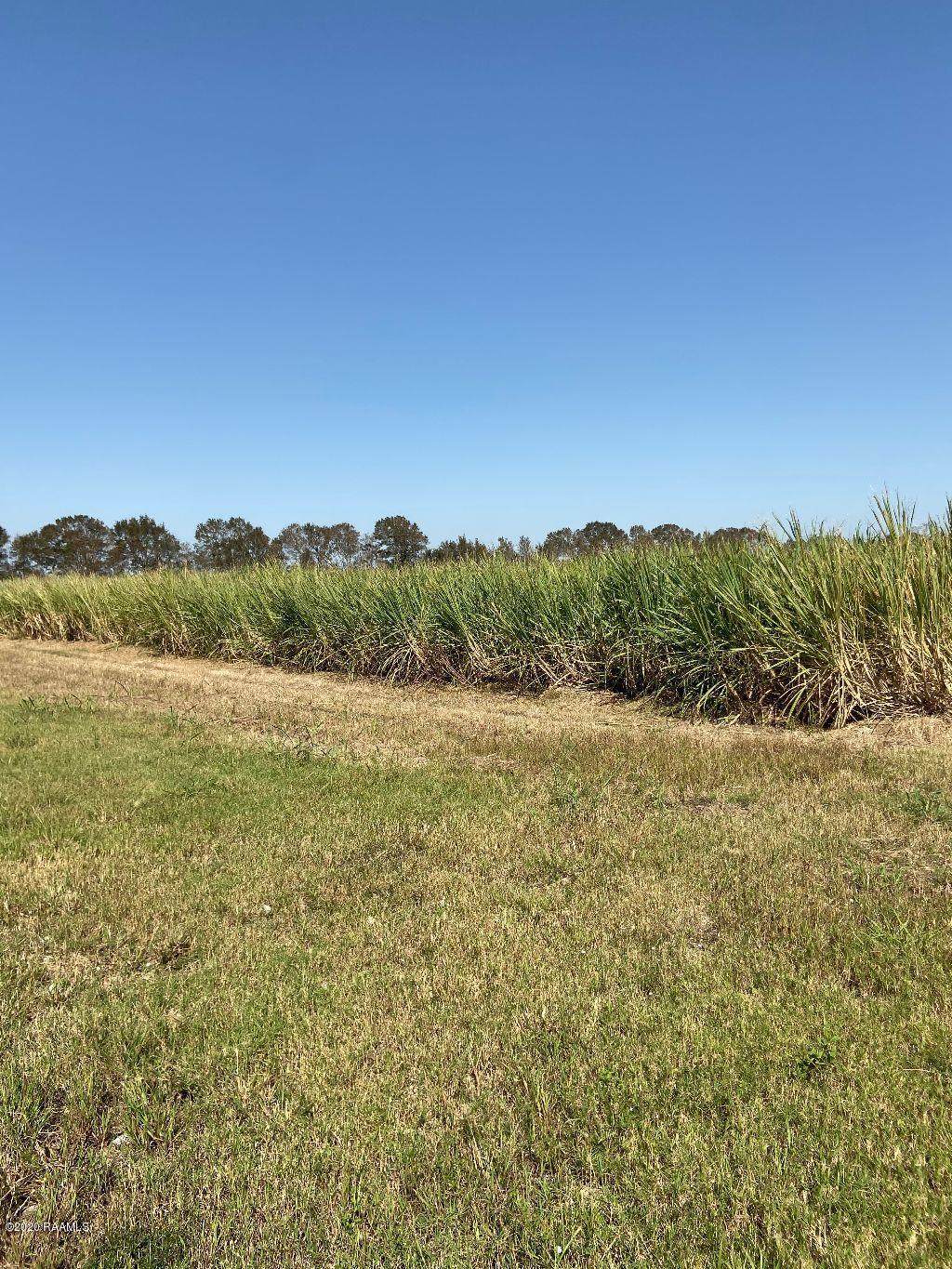 Tract ! North Road - Photo 1