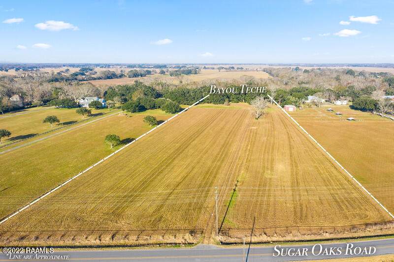 Tbd Sugar Oaks Road - Photo 1