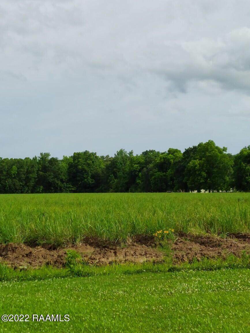Tbd Ti Adam Guidry Road - Photo 1