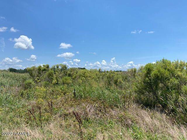 Degregory Lot 5 Road - Photo 1