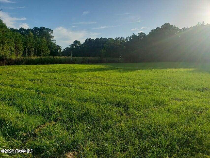 190 Athens Lane - Photo 1