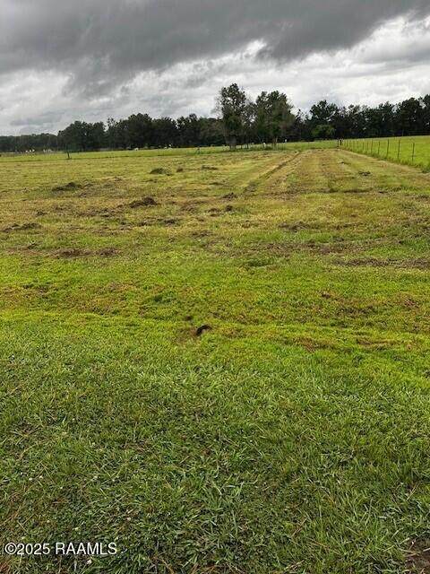 Tbd Bearb Road - Photo 1