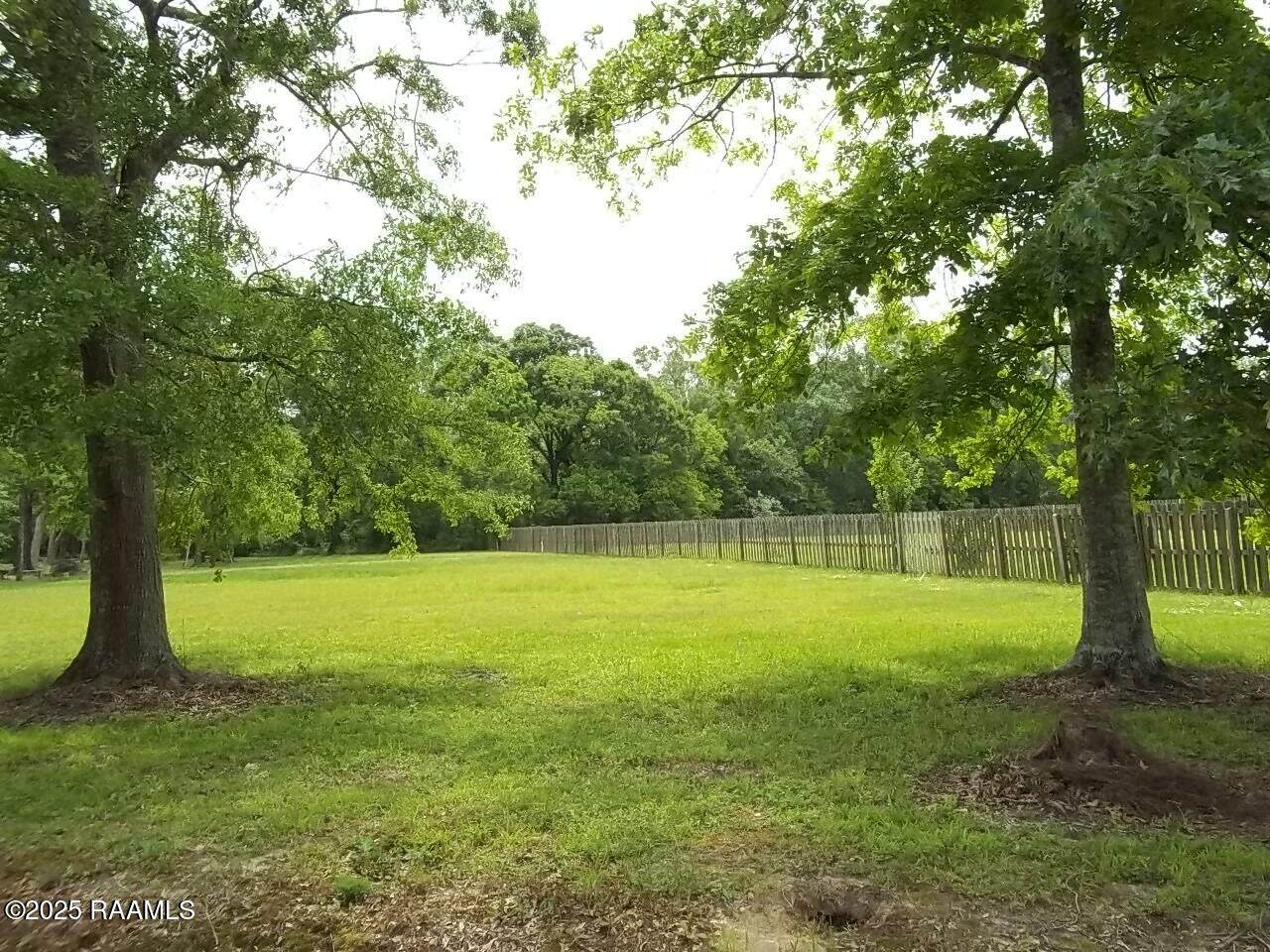 2135 Evelyn Street - Photo 1