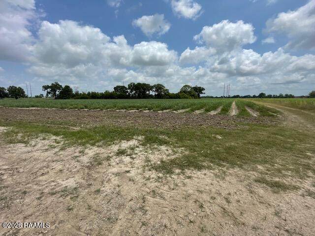 11271 Rodrigue Road - Photo 1