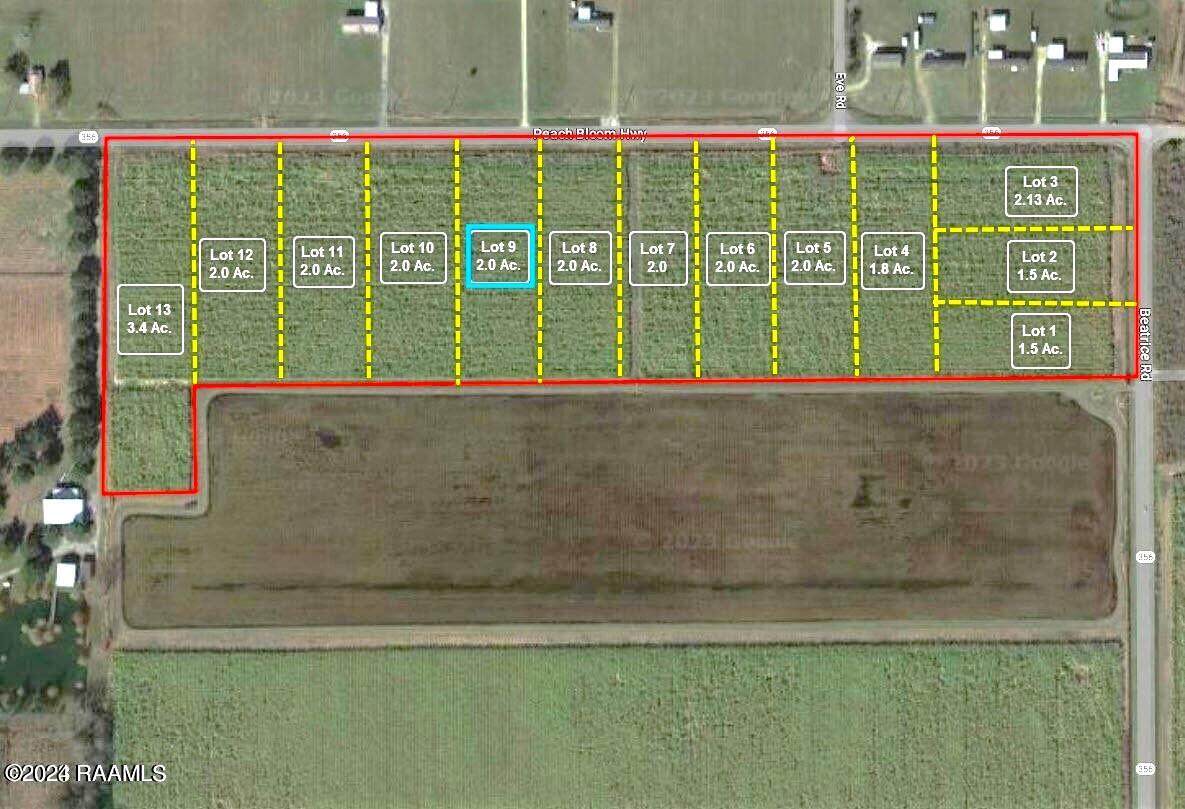 2700 Blk Peach Bloom Highway - Photo 1