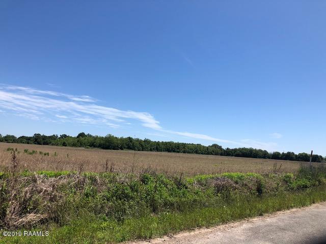 0 Wildcat Road - Photo 1