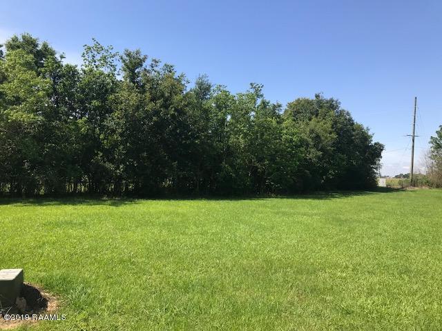 Savannah - Photo 1