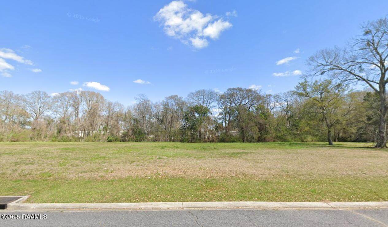 106 Oak Grove Lane - Photo 1
