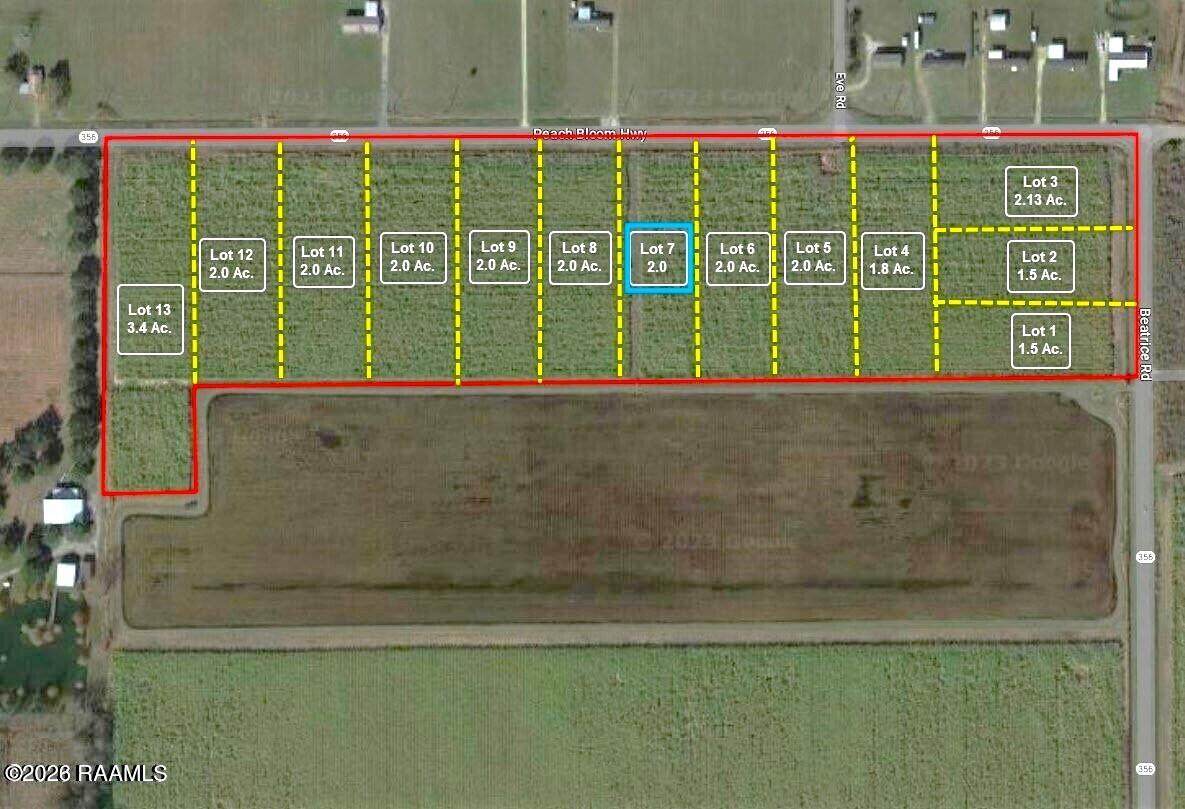 2700 Blk Peach Bloom Highway - Photo 1