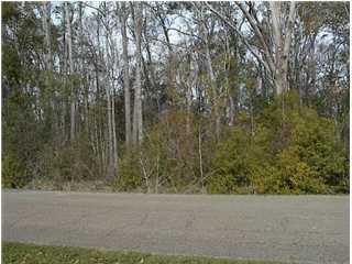 208 Sunset Street - Photo 1