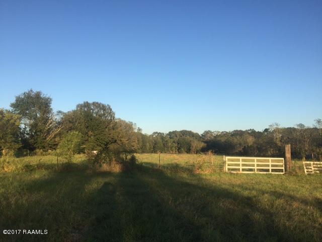 7023 La Highway 339 - Photo 1
