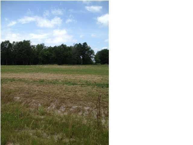 204 Country Meadows - Photo 1