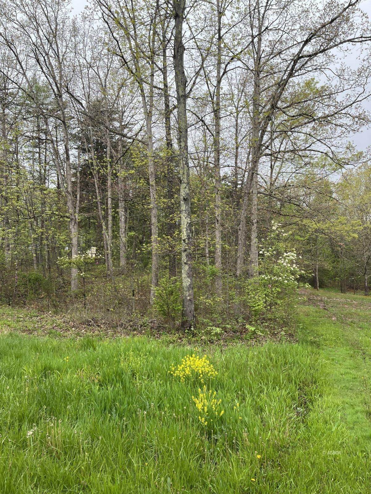Fierce Ridge Road - Photo 1