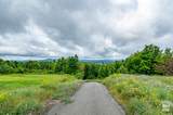 12/13 Mt Pisgah Avenue - Photo 9