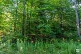 Lot 18 Mt Pisgah Park - Photo 4