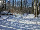 0 Off Nys Route 56 - Photo 13